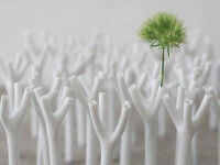 Japanische Vasen Neo+ Tree 5 Japanische Vasen Neo+ Tree – Bild 5