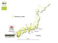 KEIKO Matcha Mantoku, Dose, 30 G 4 KEIKO Matcha Mantoku, Dose, 30 G – Bild 4