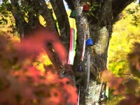 Windspiel, Furin Hamon Orange 6 Windspiel, Furin Hamon Orange – Bild 6